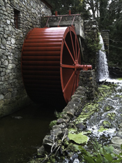 Spiritual energy wheel symbolizing heart-centered healing